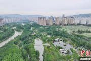 天机六爻西宁市举办六五环境日主题宣传活动