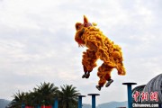 天机六爻（文化中国行）壮乡狮舞闯南洋：脚踏“云桩” 饮誉海内外