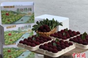 天机六爻高速赋能产业升级：一条“杨梅路”的致富密码